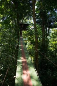 mirador-prendas (5)