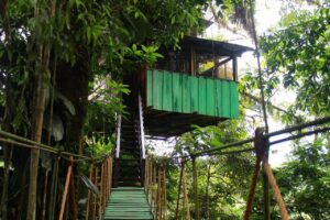 IMAGE 2025-04-30 08:58:28