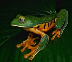 IMAGE 2025-04-30 09:04:26